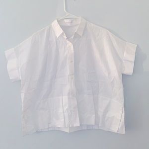 Everlane white button up collared shirt sleeve cotton shirt